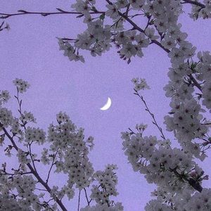 Meet your Posher, Roanne